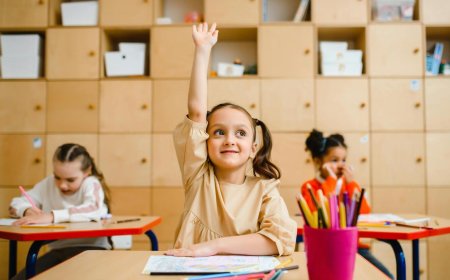 Best ECD Free Online Courses Offered By Alison