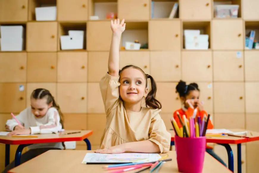 Best ECD Free Online Courses Offered By Alison