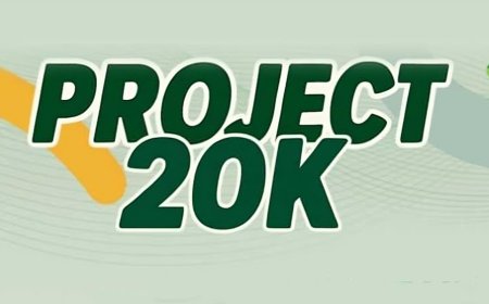 Project 20K Graduate Internship Applications 2025 - 2027