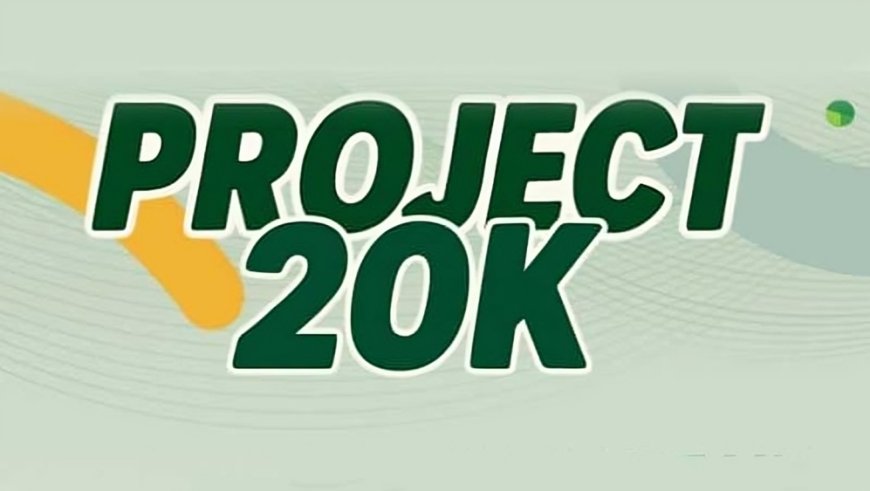 Project 20K Graduate Internship Applications 2025 - 2027